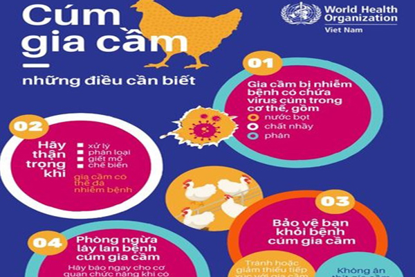 Triển khai các biện pháp phòng chống cúm gia cầm