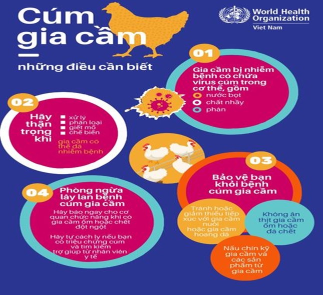 Triển khai các biện pháp phòng chống cúm gia cầm